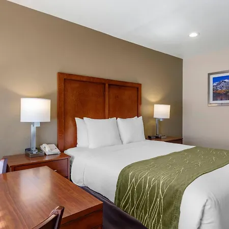 Comfort Inn Bishop-3