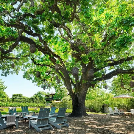 The Lodge At Sonoma Resort, Autograph Collection-2