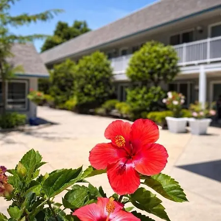 Cape Harbor Motor Inn-2