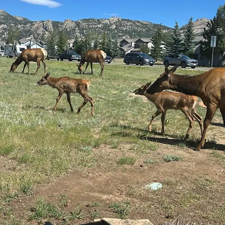 Columbine Inn (Adults Only)-2