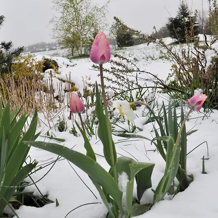 Bryn Meadow Farm B&B-3