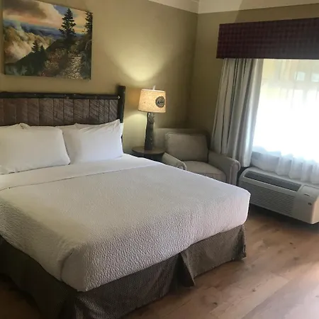 The Appy Lodge-3