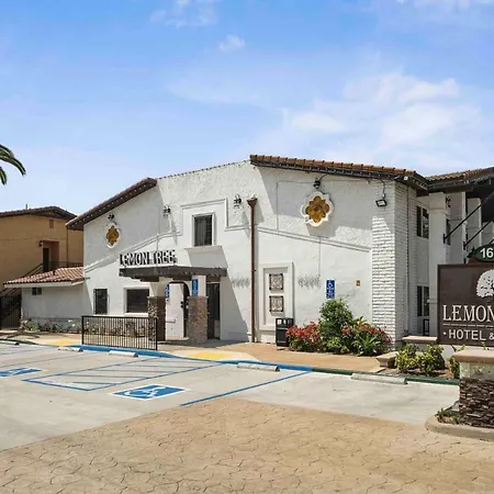 Lemon Tree Hotel And Suites-3