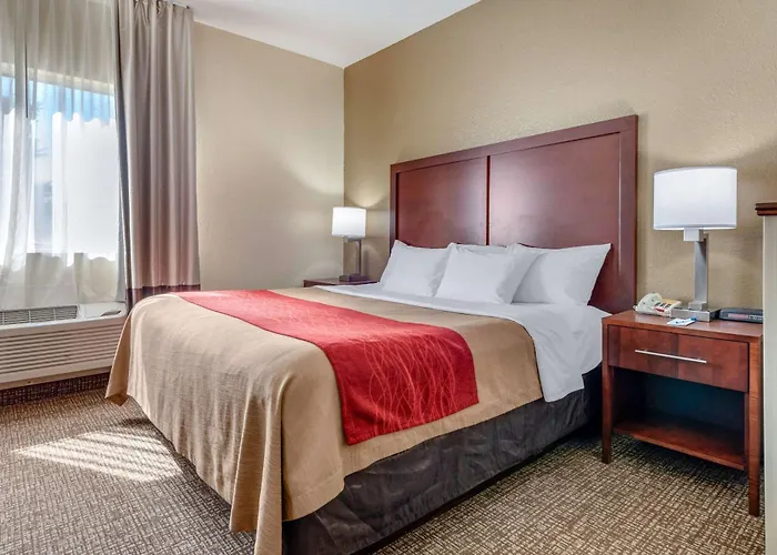 Comfort Inn Fremont