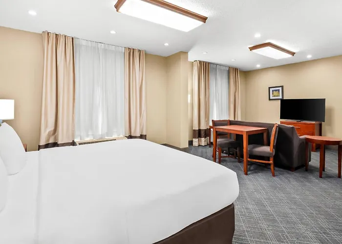 Comfort Inn University Area Baton Rouge
