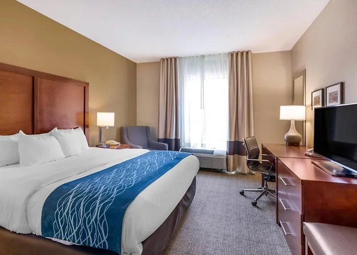 Comfort Inn & Suites Lynchburg Airport - University Area