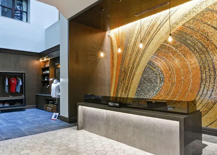 The Cincinnatian Curio Collection By Hilton