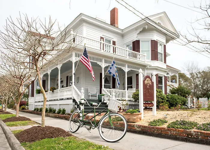 Pecan Tree Inn