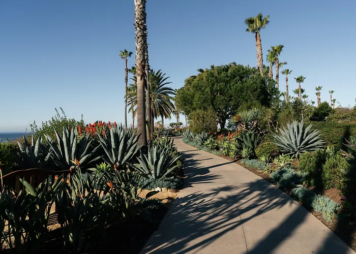 Laguna Beach Lodge