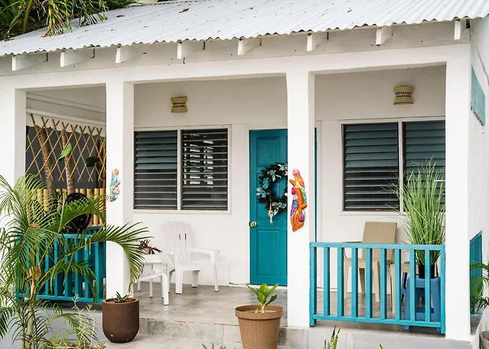 Catcha Falling Star Negril